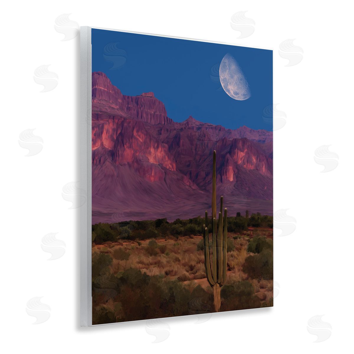 Renel Peters Cactus In The Mountains Canvas Wall Art Print