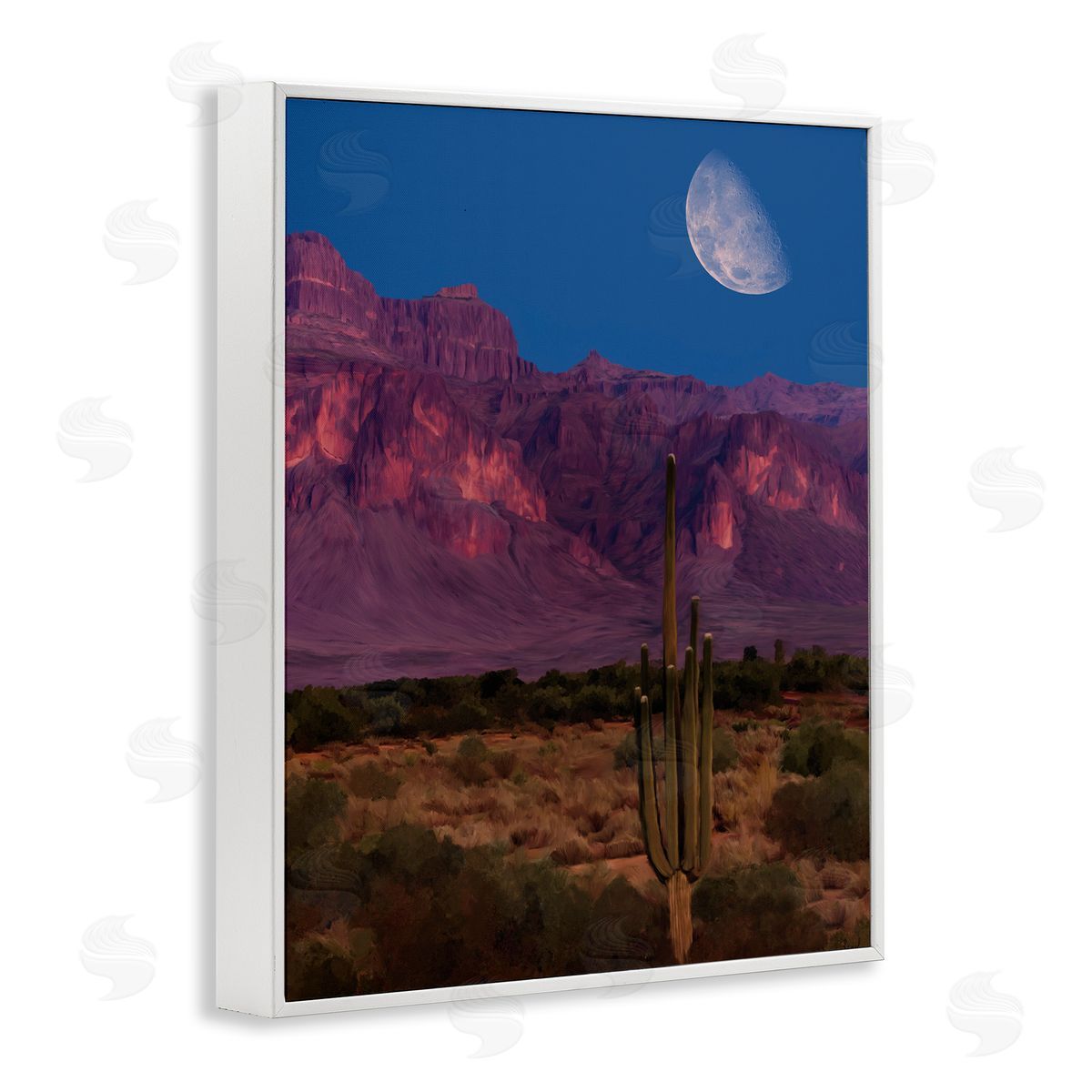 Renel Peters Cactus In The Mountains Canvas Wall Art Print