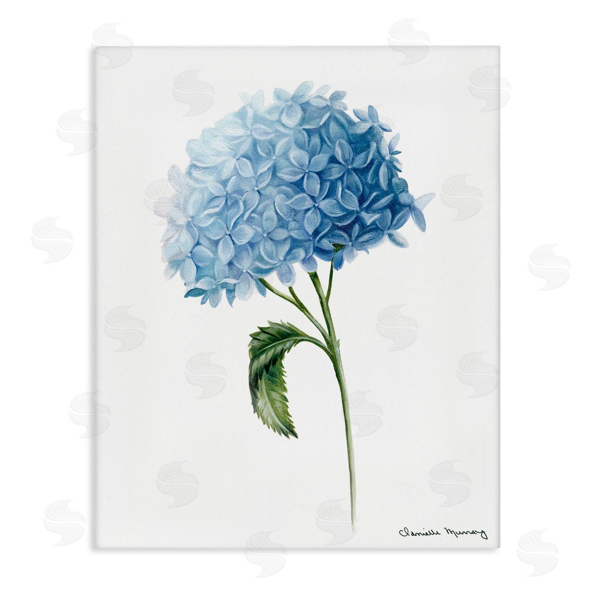 Danielle Murray Blue Hydrangea In Bloom Canvas Wall Art Print