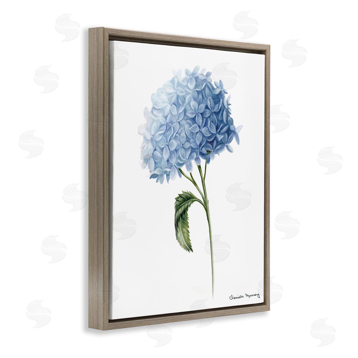 Danielle Murray Blue Hydrangea In Bloom Canvas Wall Art Print
