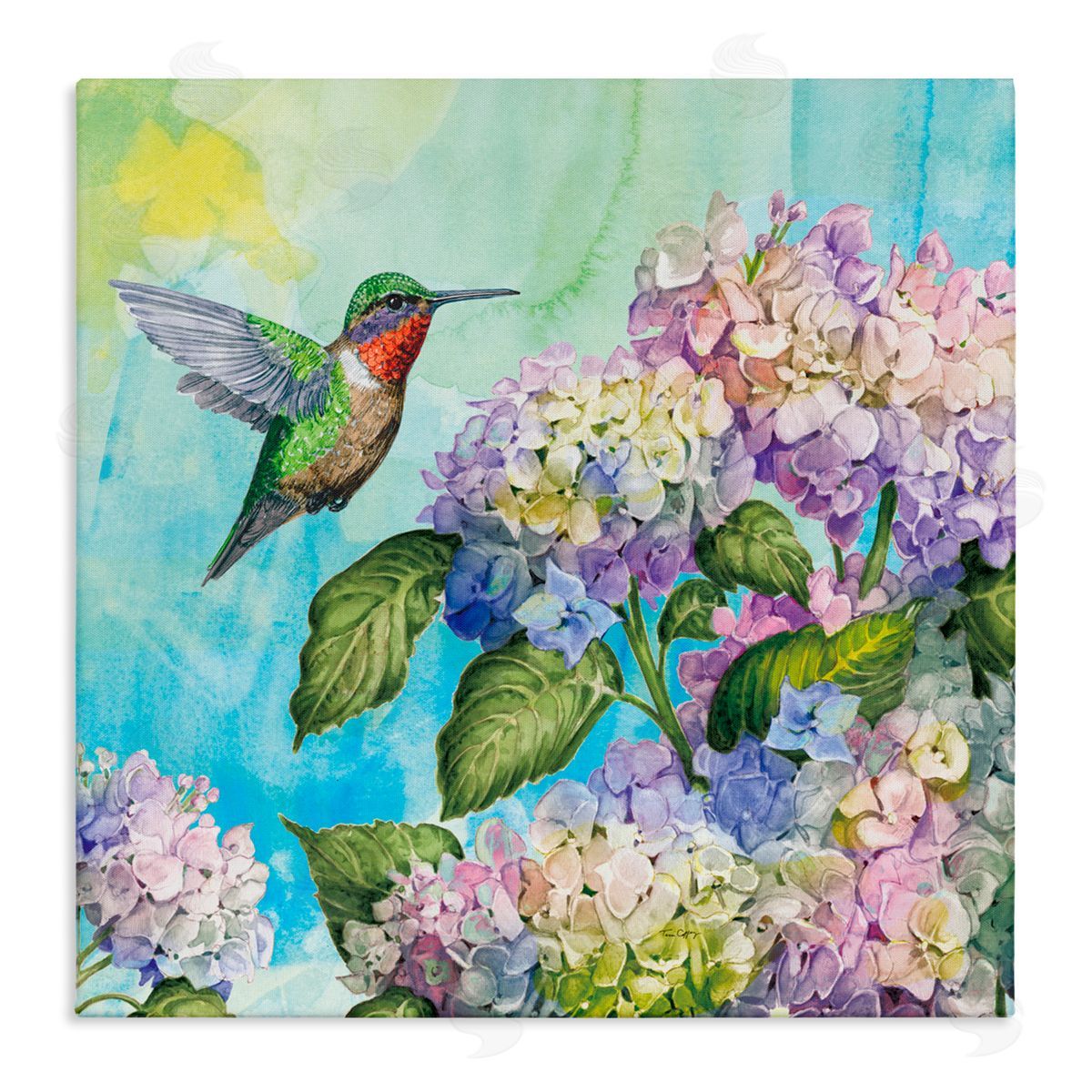 Tim Coffey Hummingbird & Hydrangeas Canvas Wall Art Print