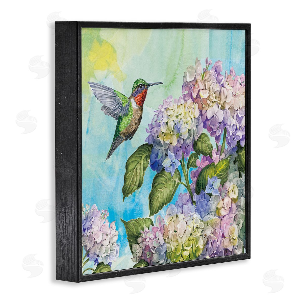 Tim Coffey Hummingbird & Hydrangeas Canvas Wall Art Print