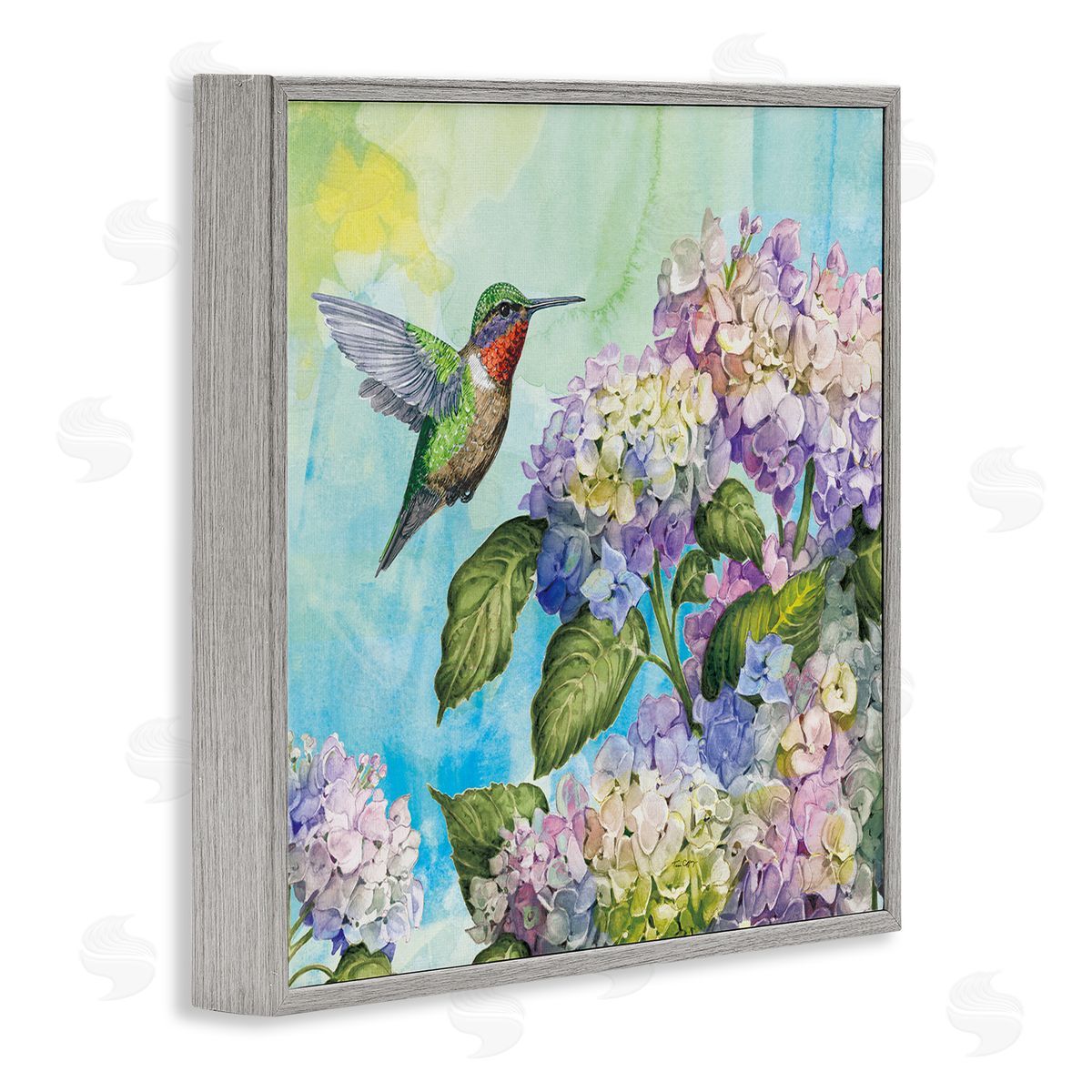 Tim Coffey Hummingbird & Hydrangeas Canvas Wall Art Print