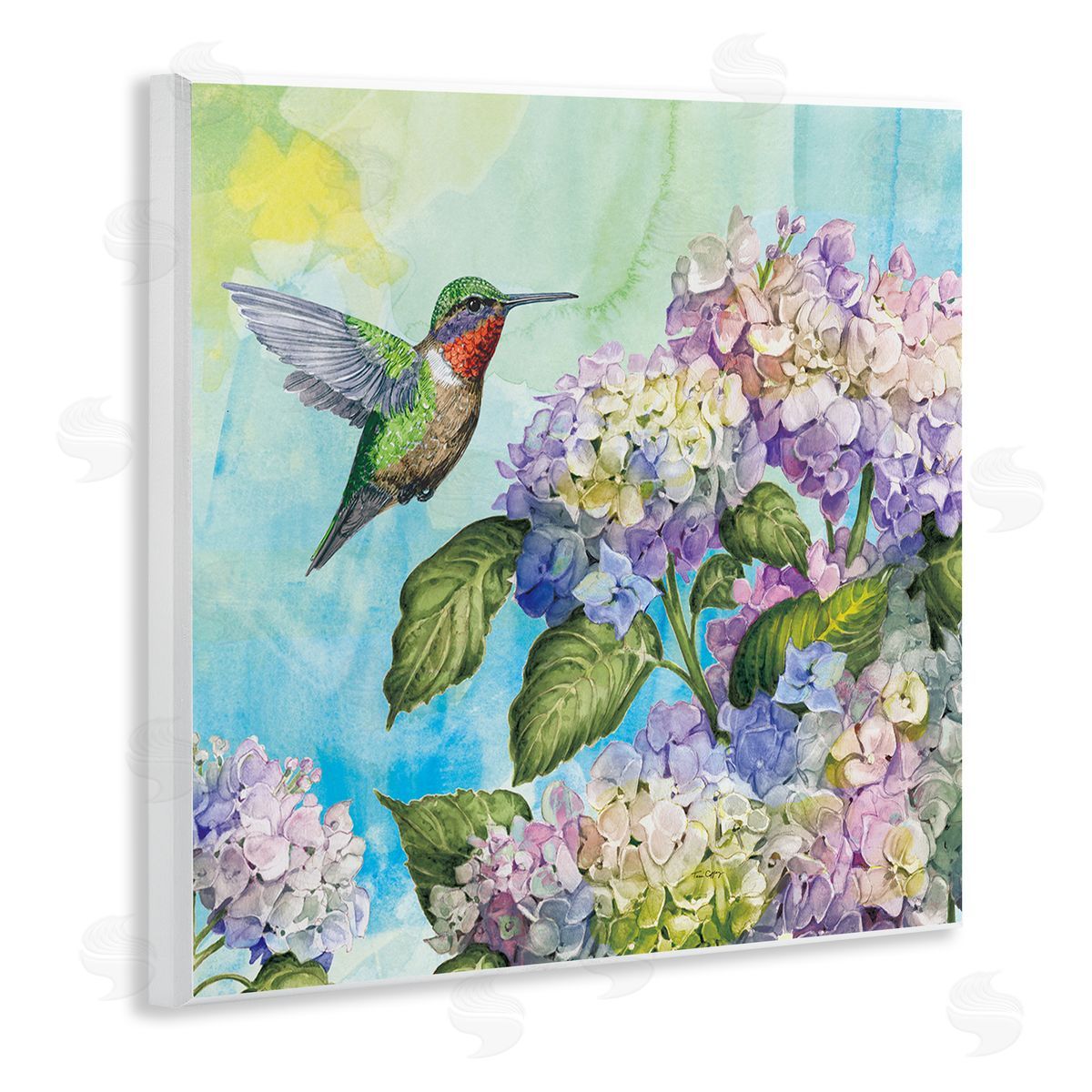 Tim Coffey Hummingbird & Hydrangeas Canvas Wall Art Print