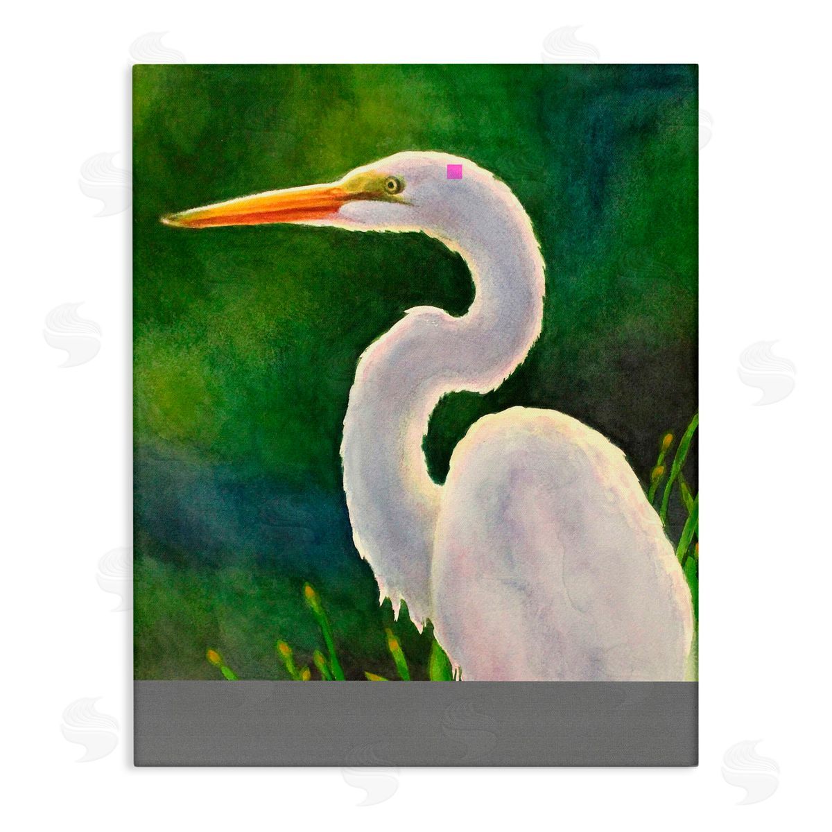 Linda Sperruzzi White Egret Portrait Painting Canvas Wall Art Print