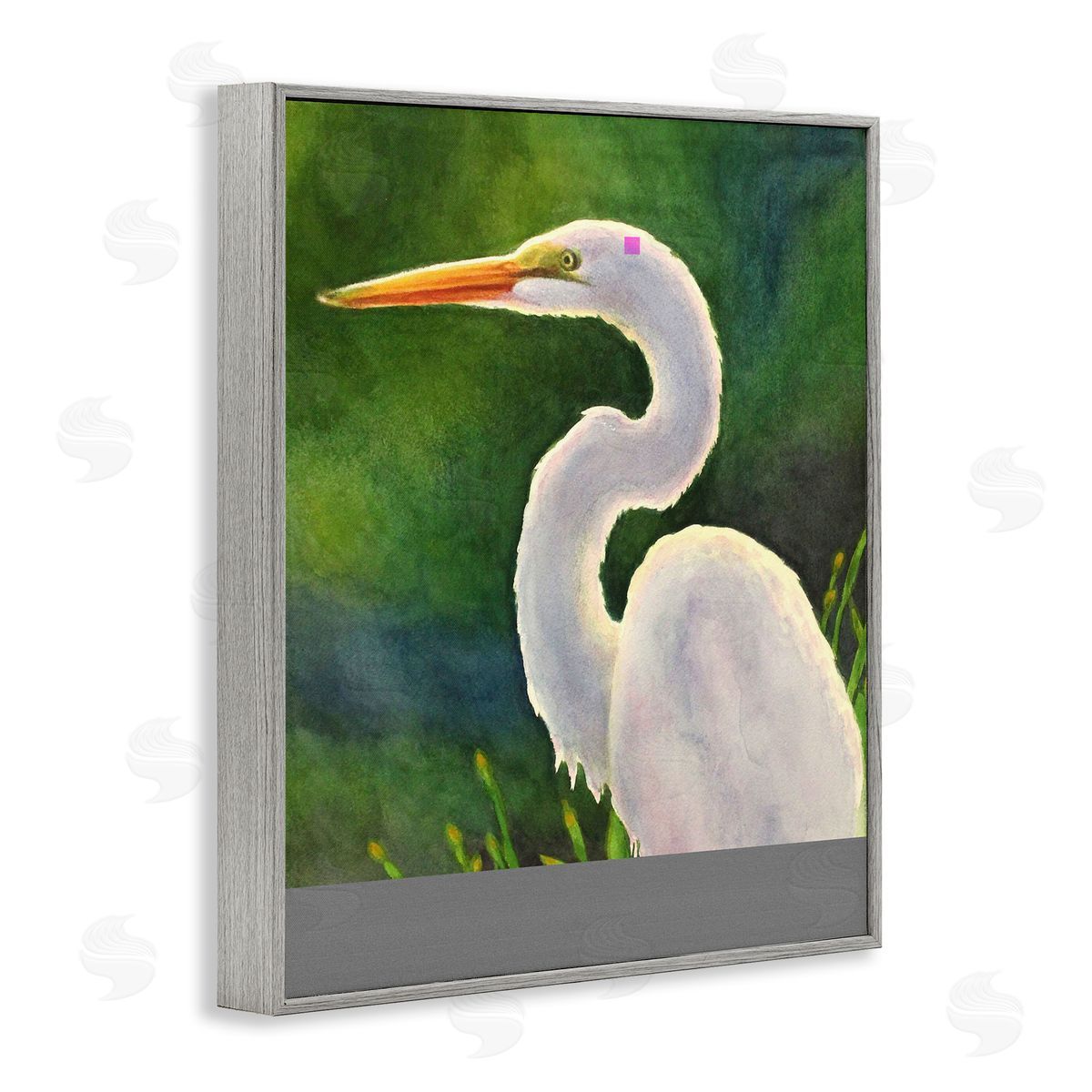 Linda Sperruzzi White Egret Portrait Painting Canvas Wall Art Print