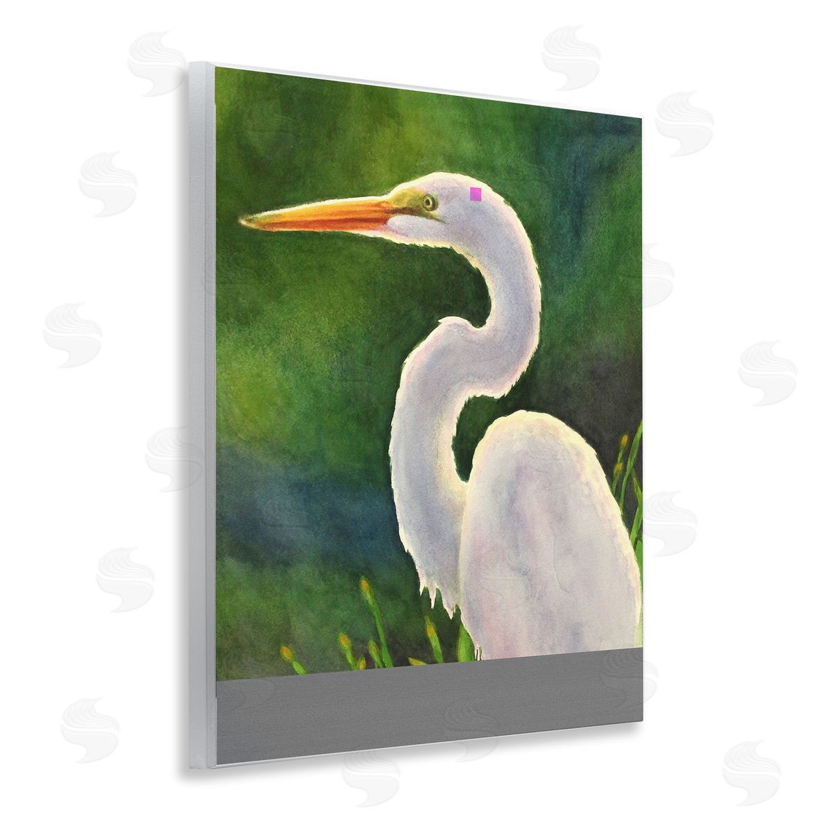 Linda Sperruzzi White Egret Portrait Painting Canvas Wall Art Print