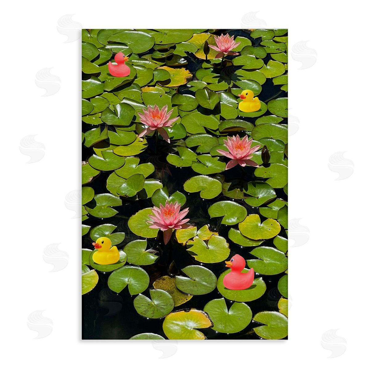 Rubber Ducks on Pond Lilies Canvas Wall Art, Home Decor by Ashley Singleton