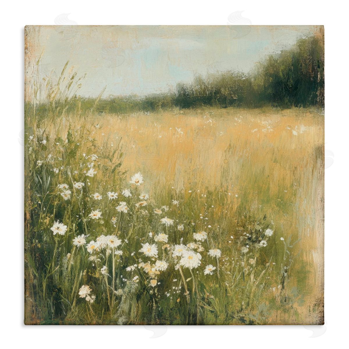 Petal Prints Design Daisy Dream Field Canvas Wall Art Print