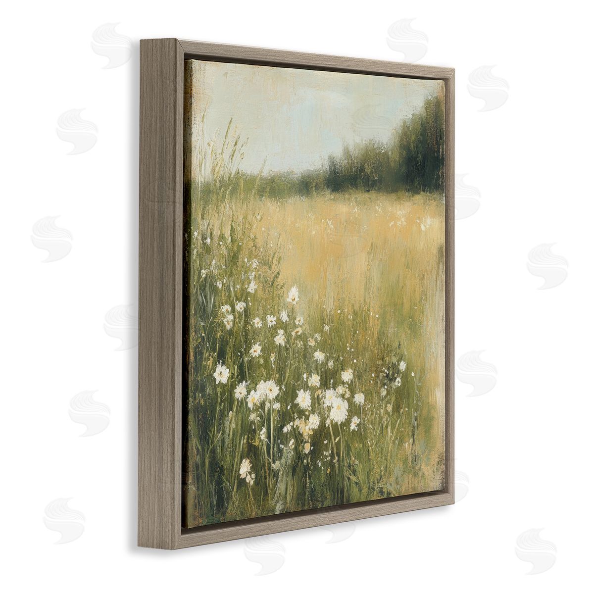 Petal Prints Design Daisy Dream Field Canvas Wall Art Print