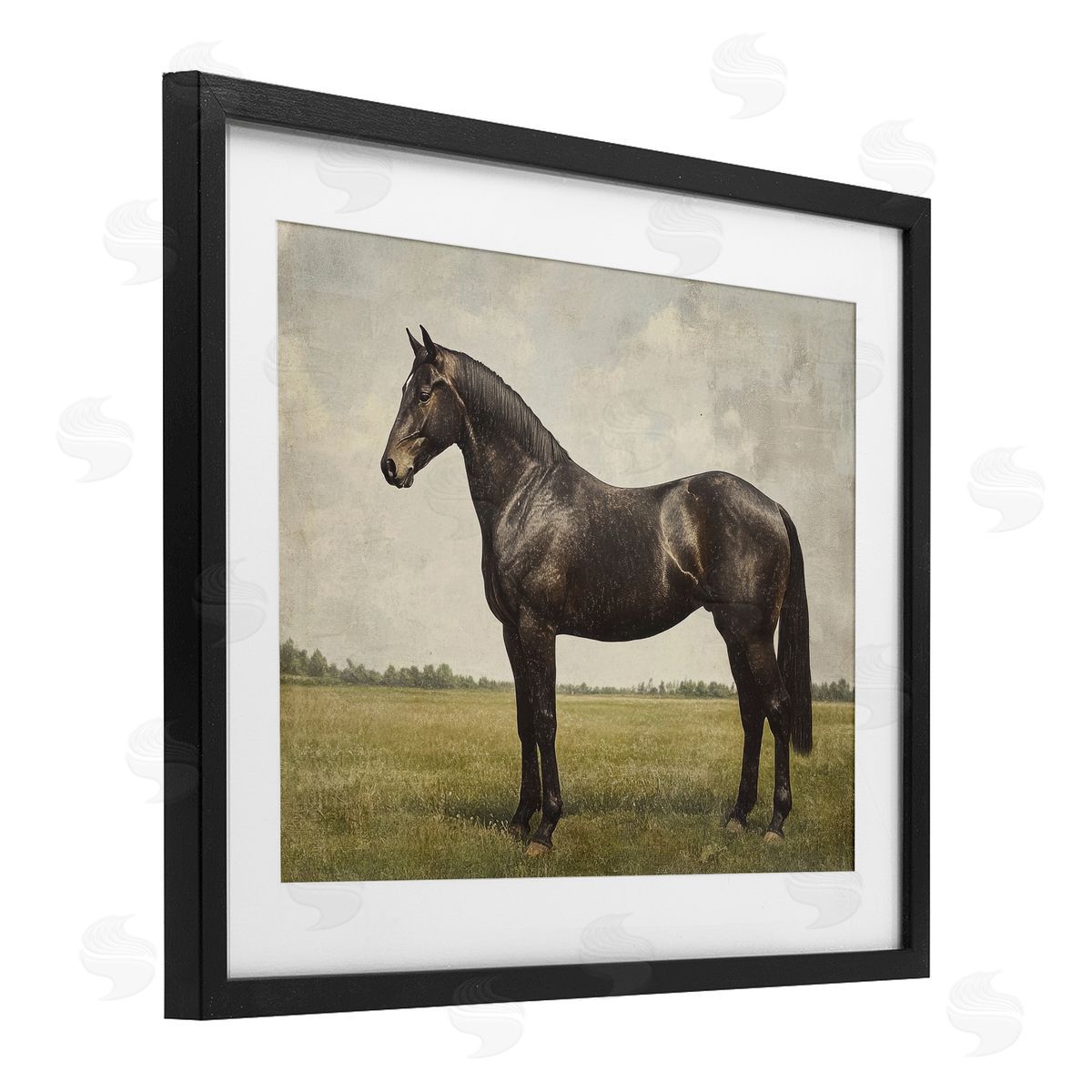 Petal Prints Design Espresso Horse Portrait Canvas Wall Art Print