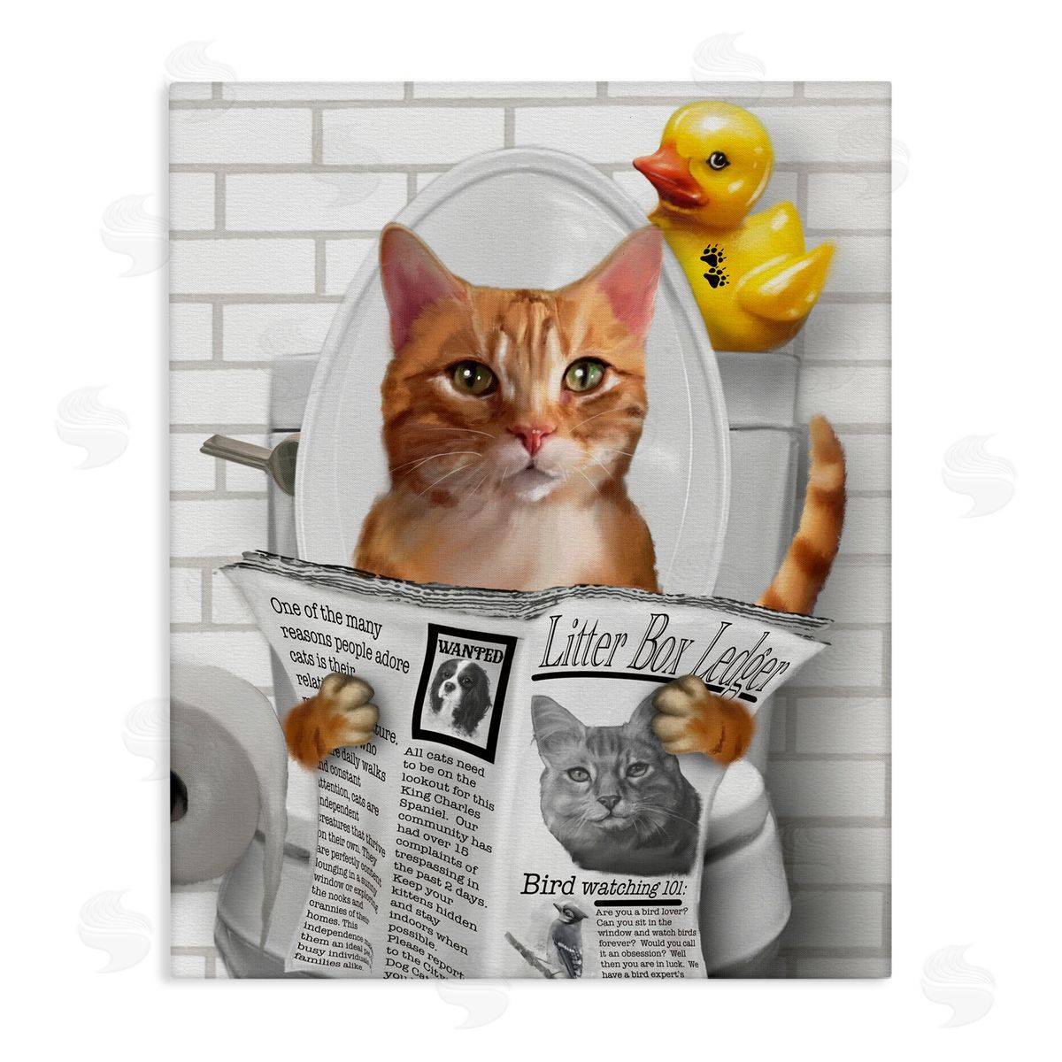 Matthew Piotrowicz Cat on Toilet with Ducky Canvas Wall Art Print