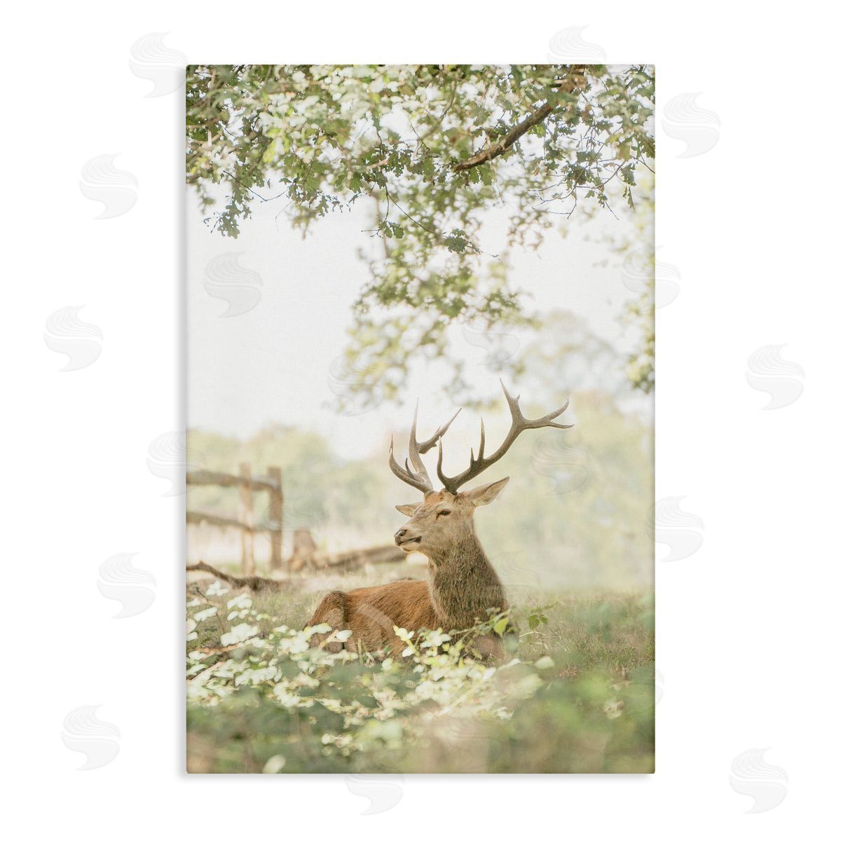 Leah Straatsma White Tailed Deer Portrait Canvas Wall Art Print
