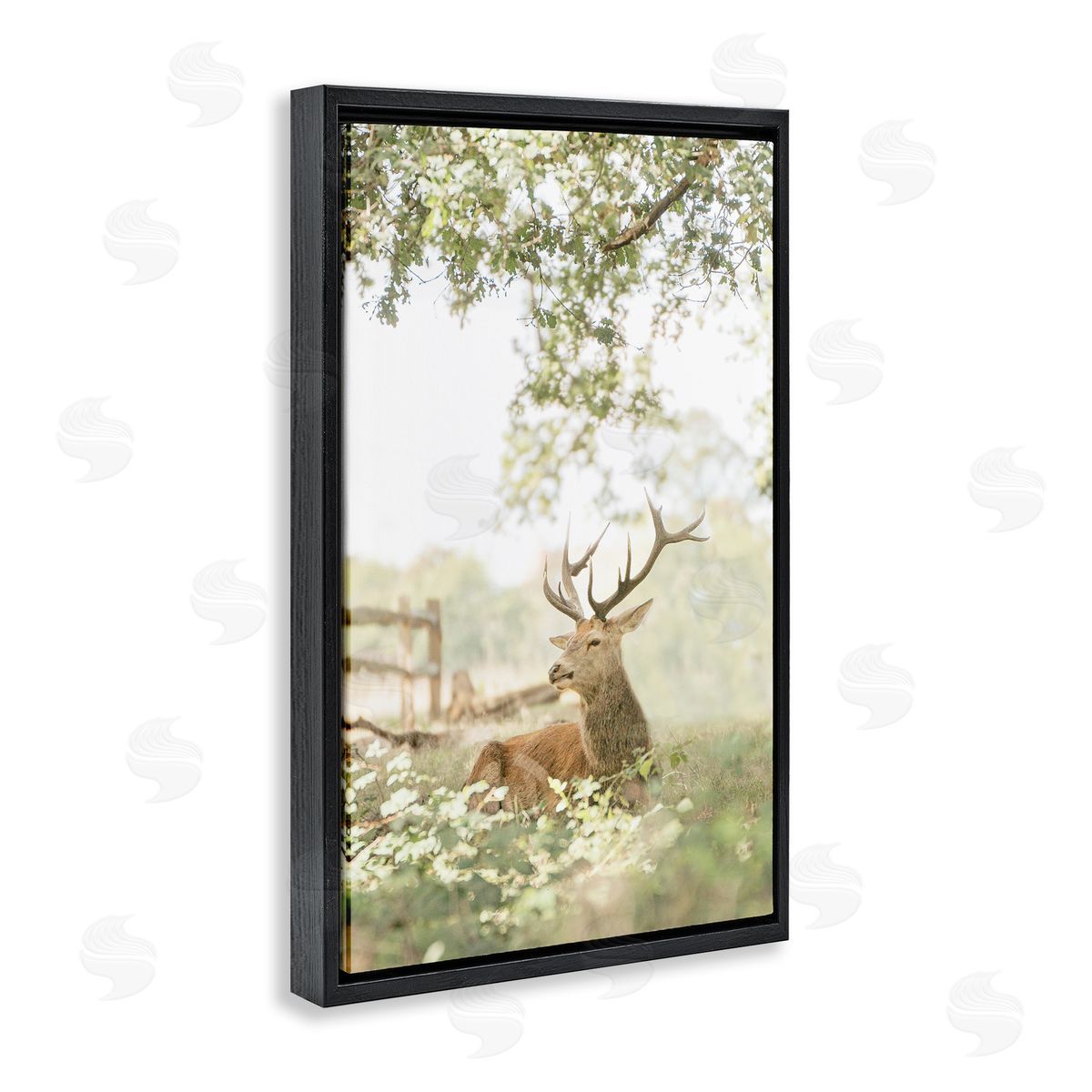 Leah Straatsma White Tailed Deer Portrait Canvas Wall Art Print