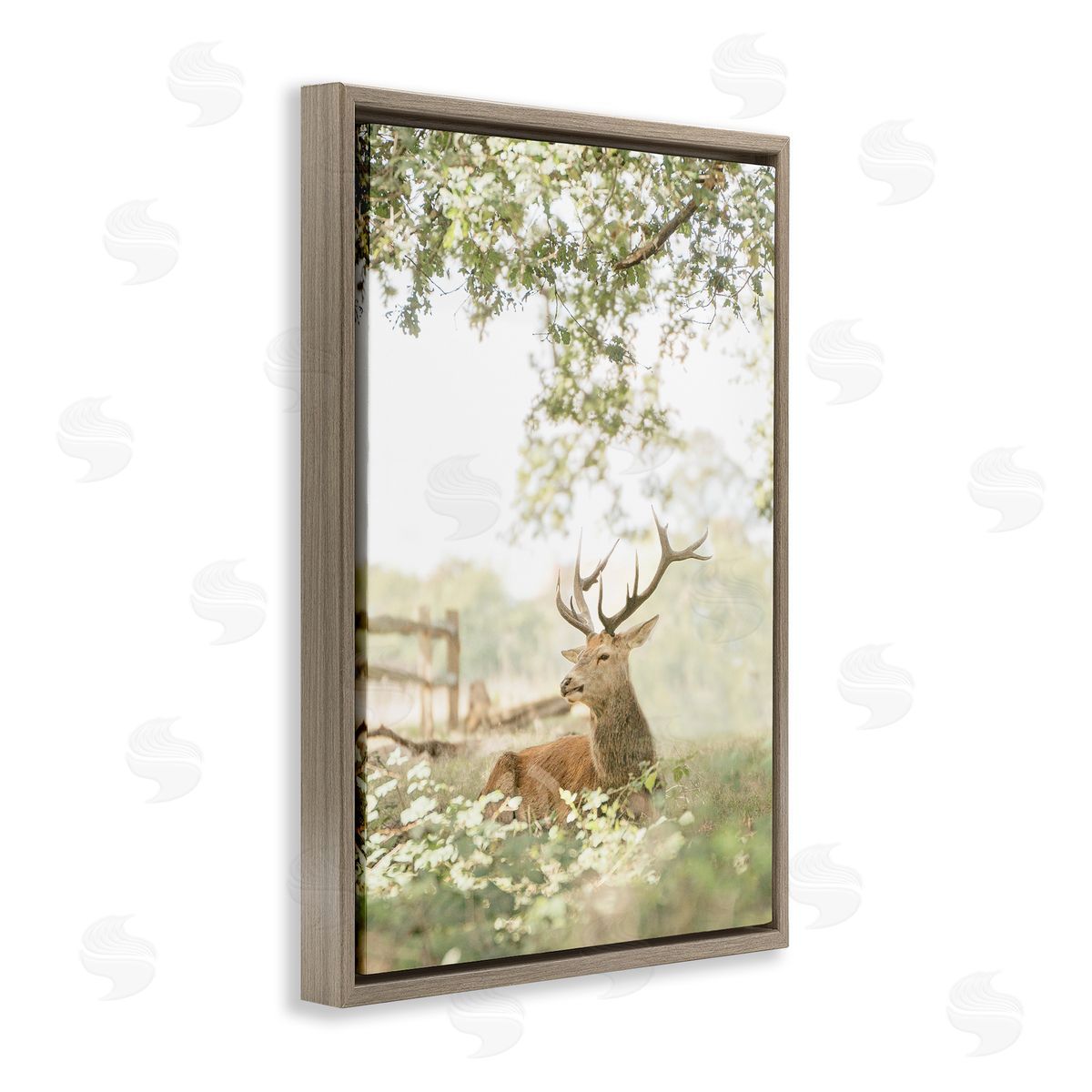 Leah Straatsma White Tailed Deer Portrait Canvas Wall Art Print