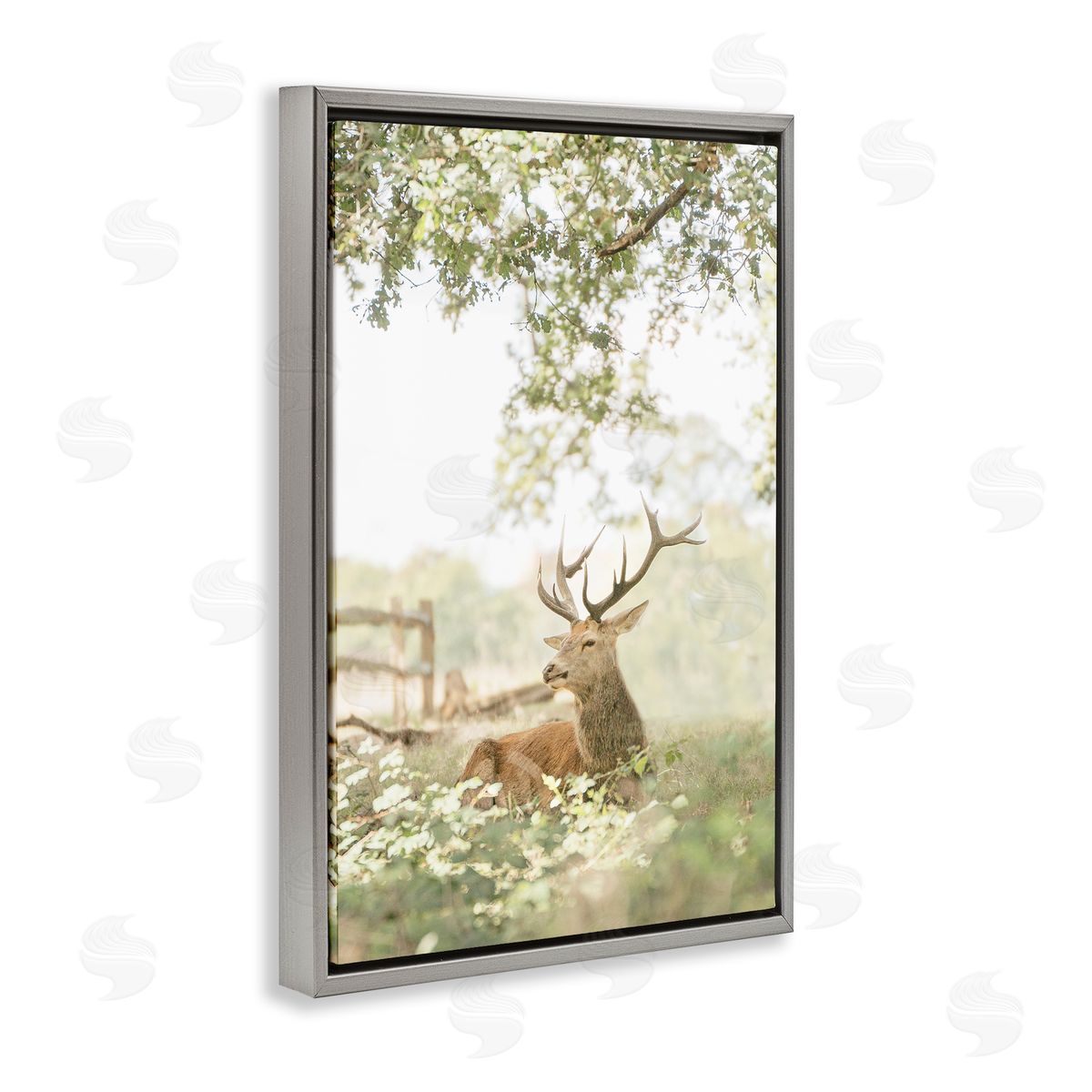 Leah Straatsma White Tailed Deer Portrait Canvas Wall Art Print