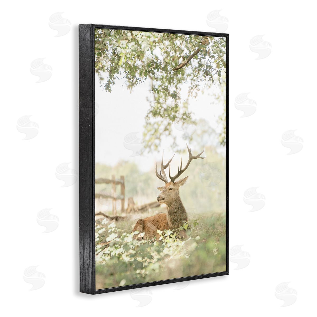 Leah Straatsma White Tailed Deer Portrait Canvas Wall Art Print