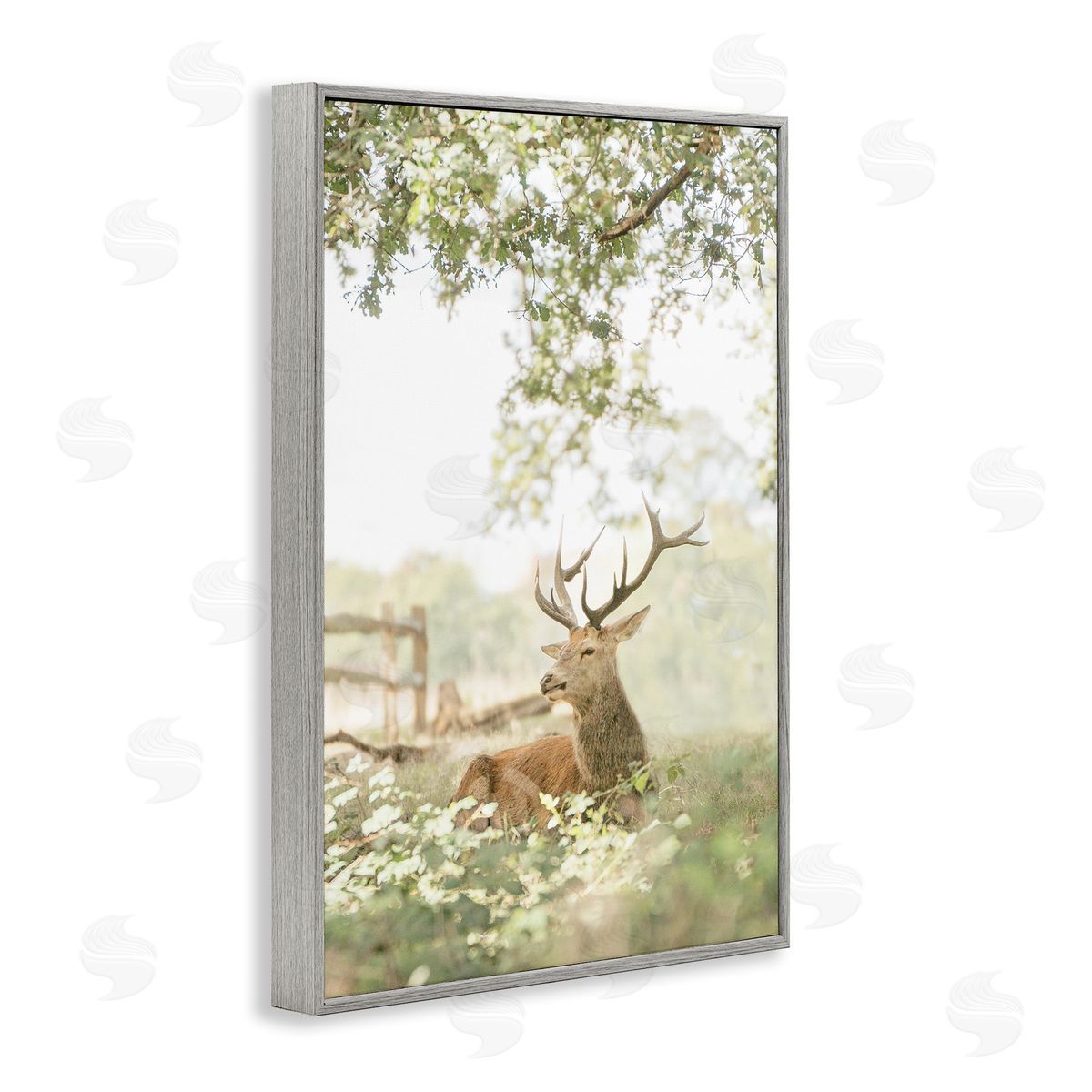 Leah Straatsma White Tailed Deer Portrait Canvas Wall Art Print