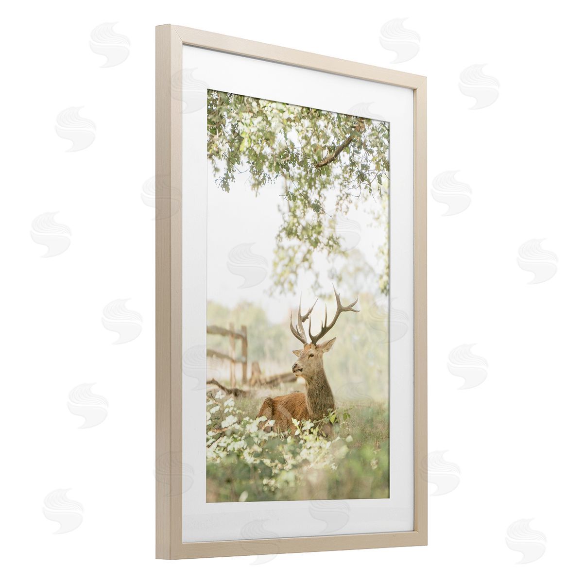 Leah Straatsma White Tailed Deer Portrait Canvas Wall Art Print