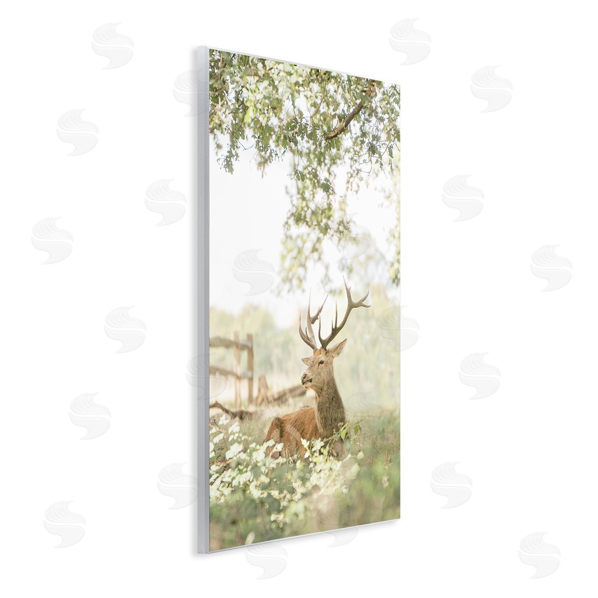 Leah Straatsma White Tailed Deer Portrait Canvas Wall Art Print