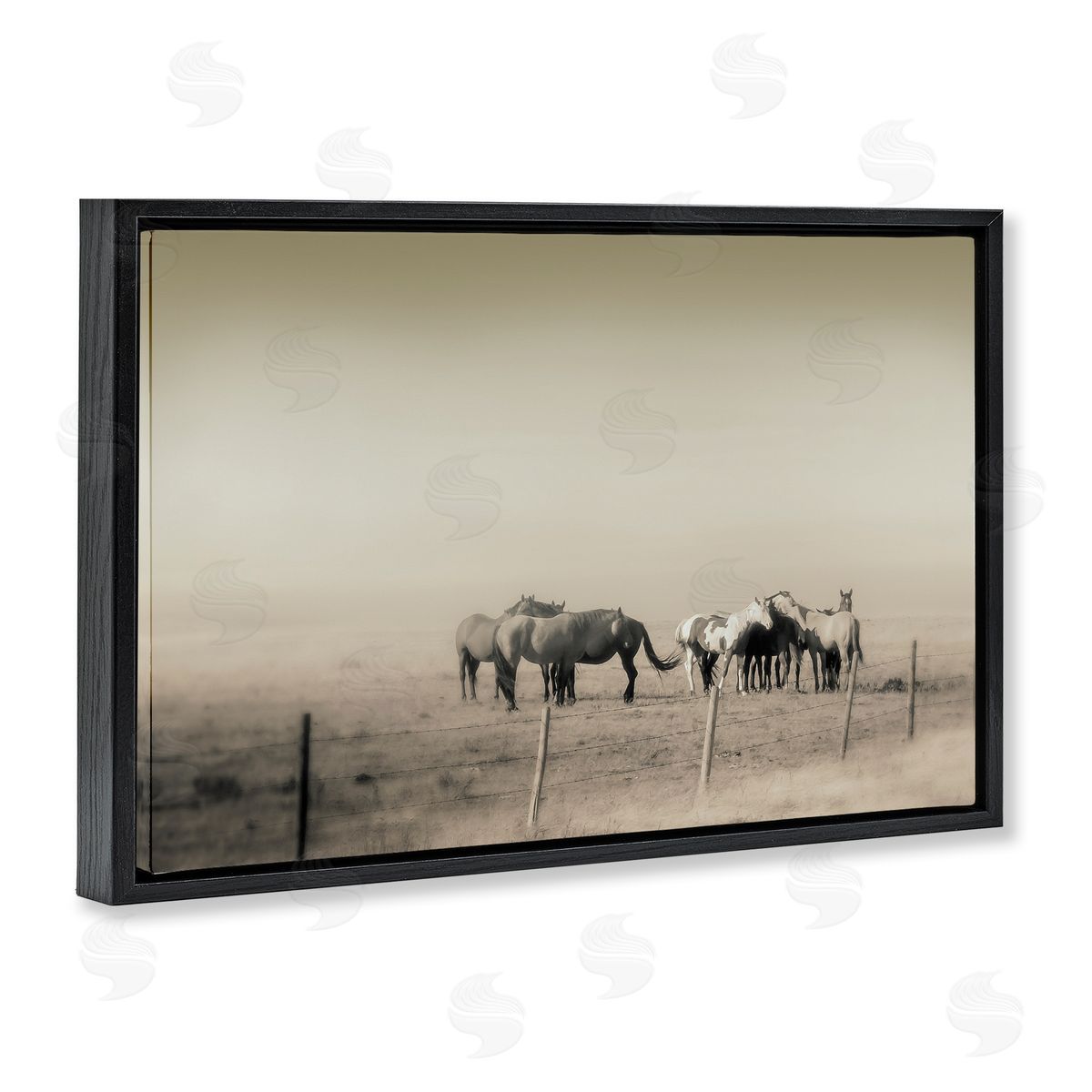 Roberta Murray The Herd Monochrome Horses Canvas Wall Art Print