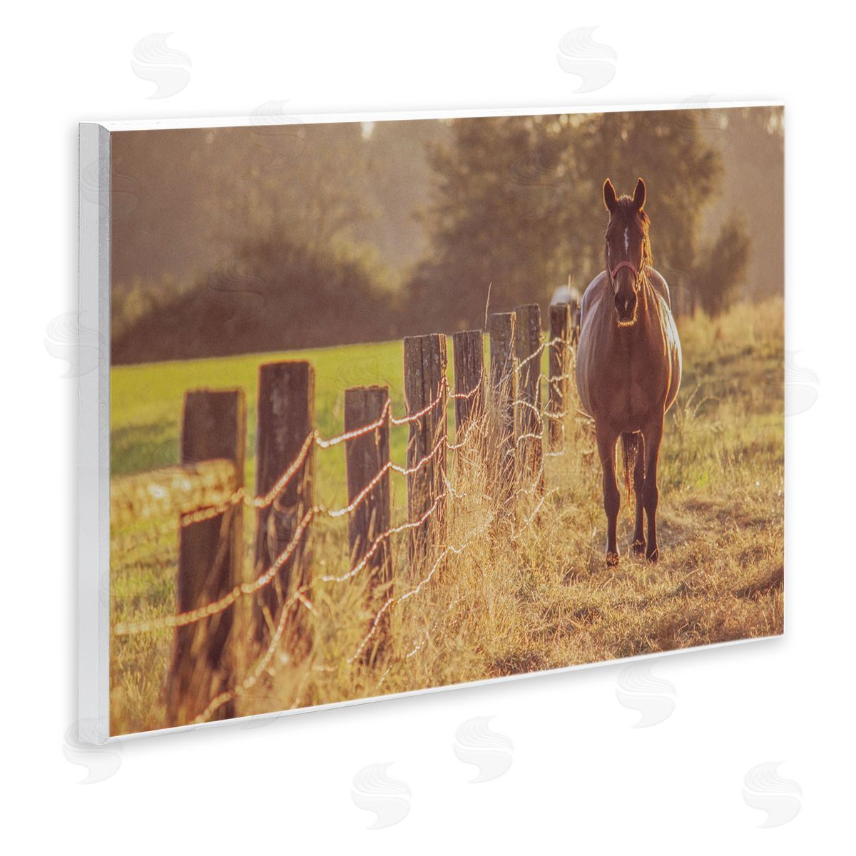 Norm Stelfox Horse's Farm at Dawn Canvas Wall Art Print
