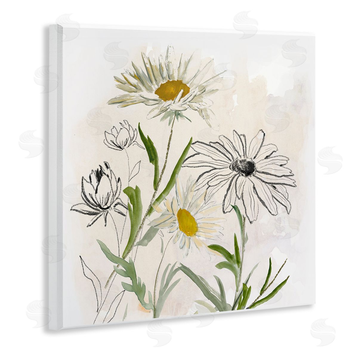 Jacob Q Pure Simplicity Flowers Canvas Wall Art Print