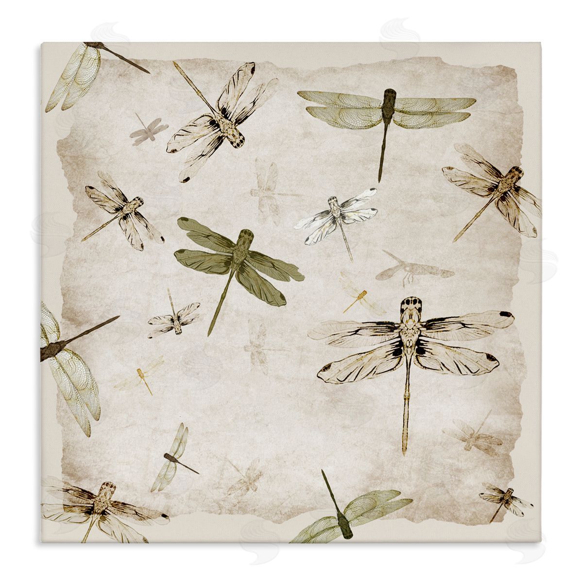 Jacob Q Vintage Grace Dragonflies Canvas Wall Art Print