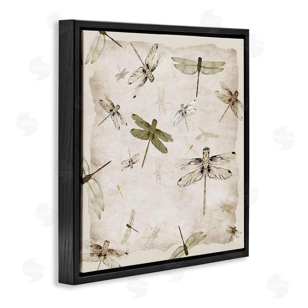 Jacob Q Vintage Grace Dragonflies Canvas Wall Art Print