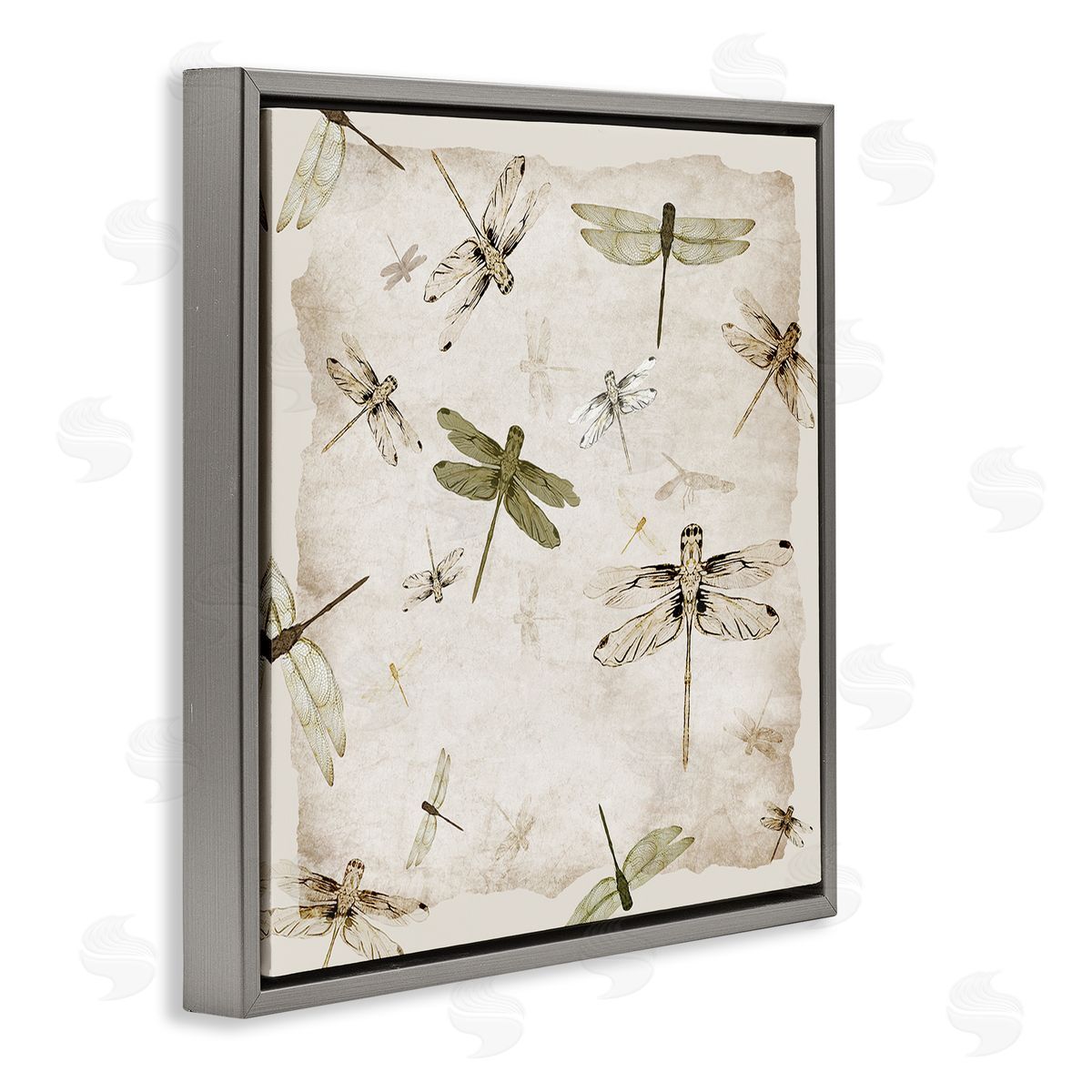 Jacob Q Vintage Grace Dragonflies Canvas Wall Art Print