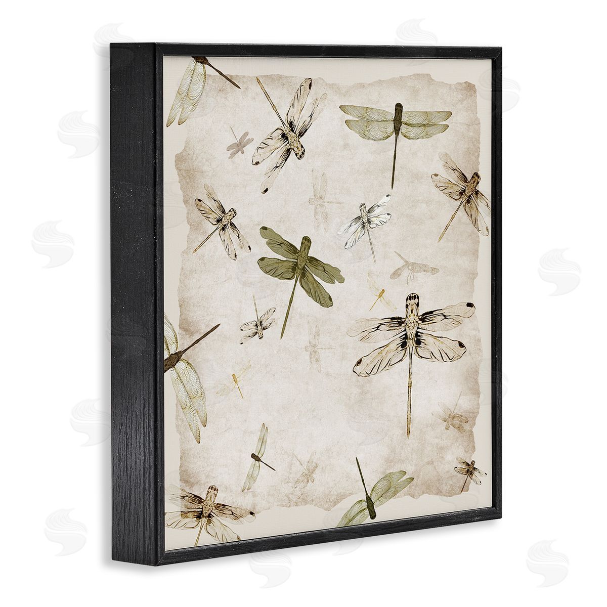 Jacob Q Vintage Grace Dragonflies Canvas Wall Art Print