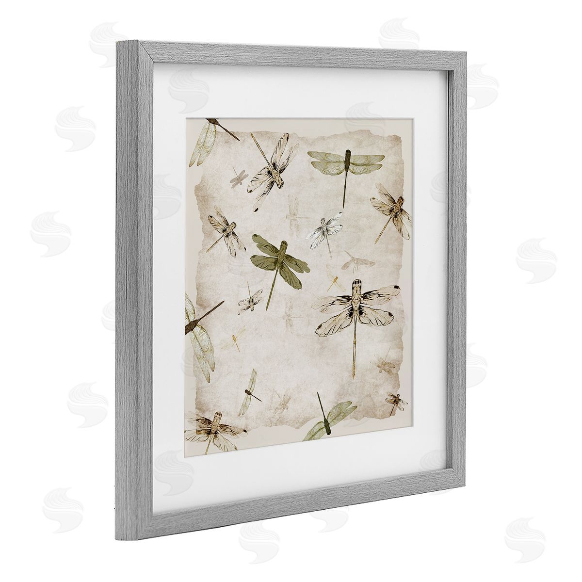 Jacob Q Vintage Grace Dragonflies Canvas Wall Art Print