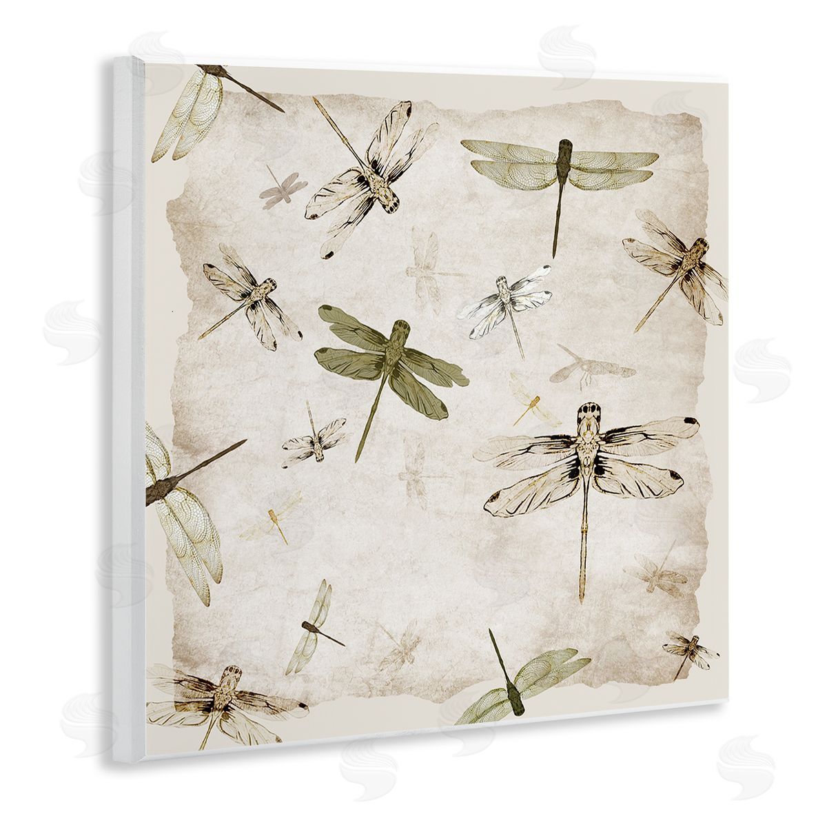 Jacob Q Vintage Grace Dragonflies Canvas Wall Art Print