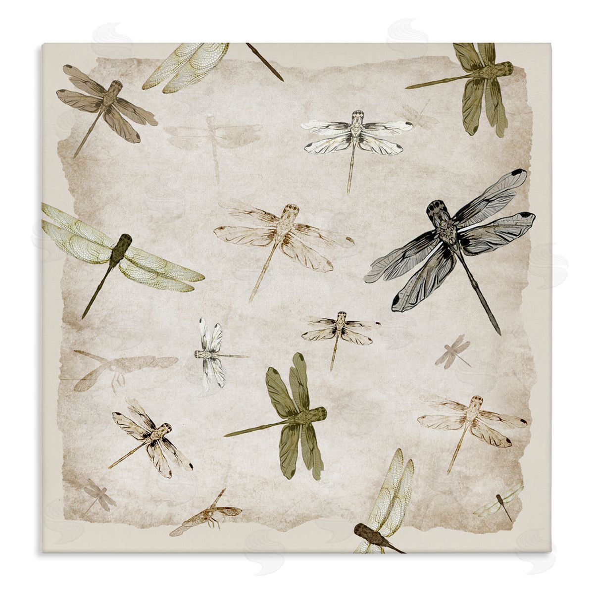 Jacob Q Glide In Grace Dragonflies Canvas Wall Art Print
