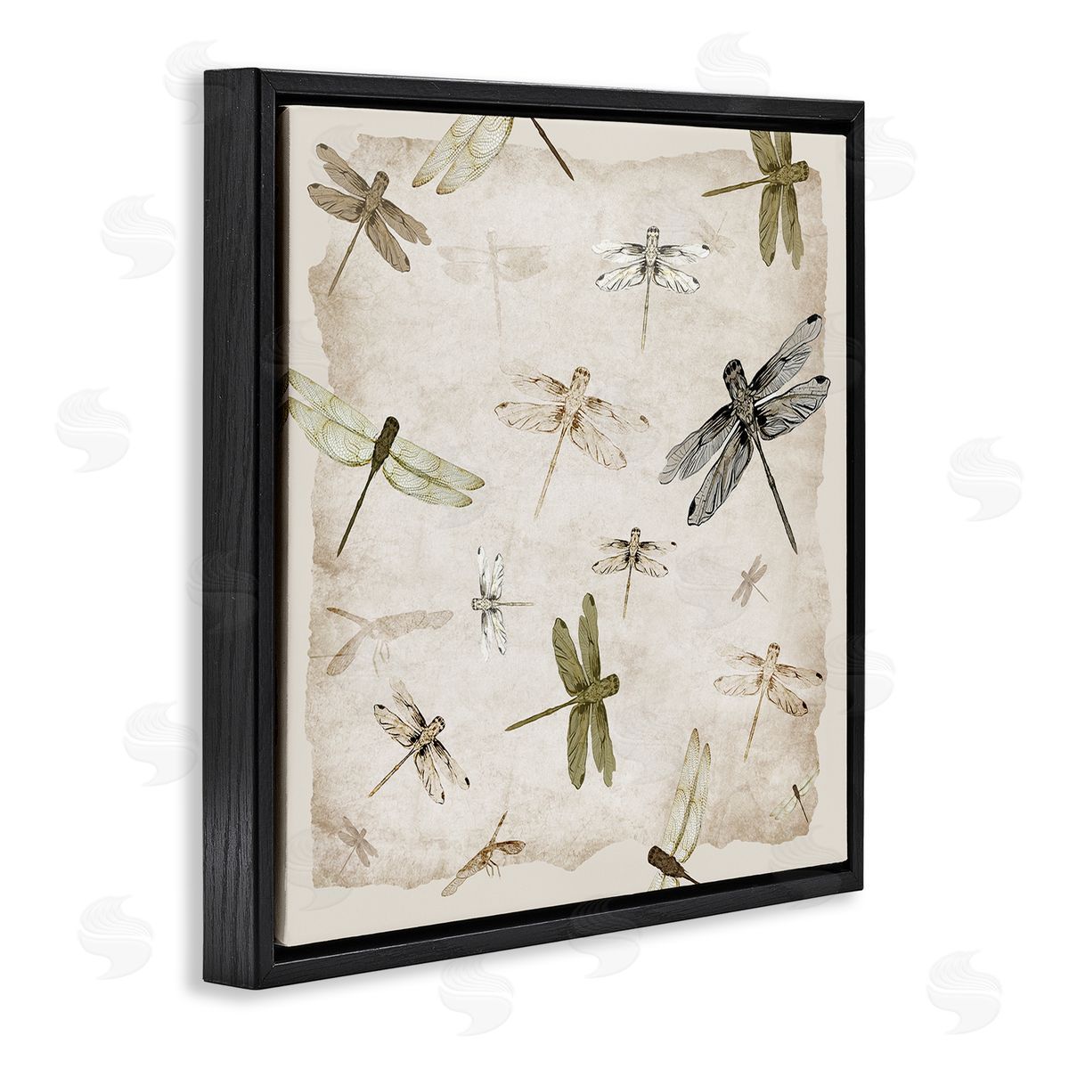 Jacob Q Glide In Grace Dragonflies Canvas Wall Art Print