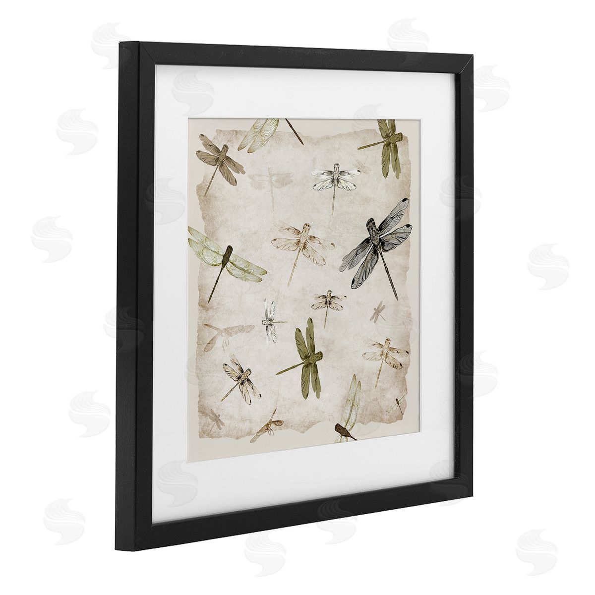 Jacob Q Glide In Grace Dragonflies Canvas Wall Art Print