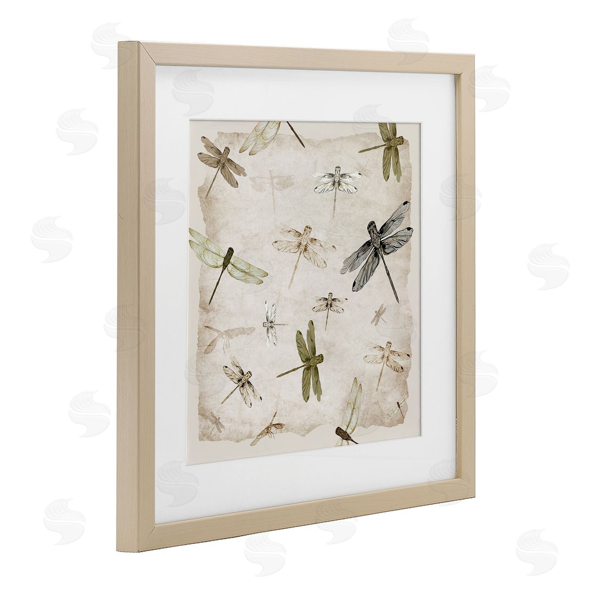 Jacob Q Glide In Grace Dragonflies Canvas Wall Art Print