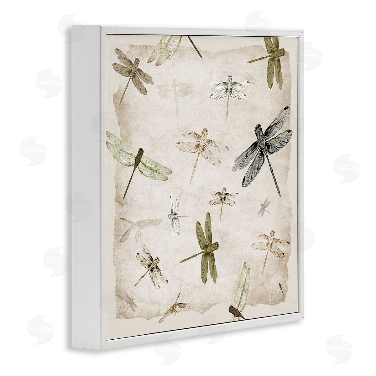 Jacob Q Glide In Grace Dragonflies Canvas Wall Art Print