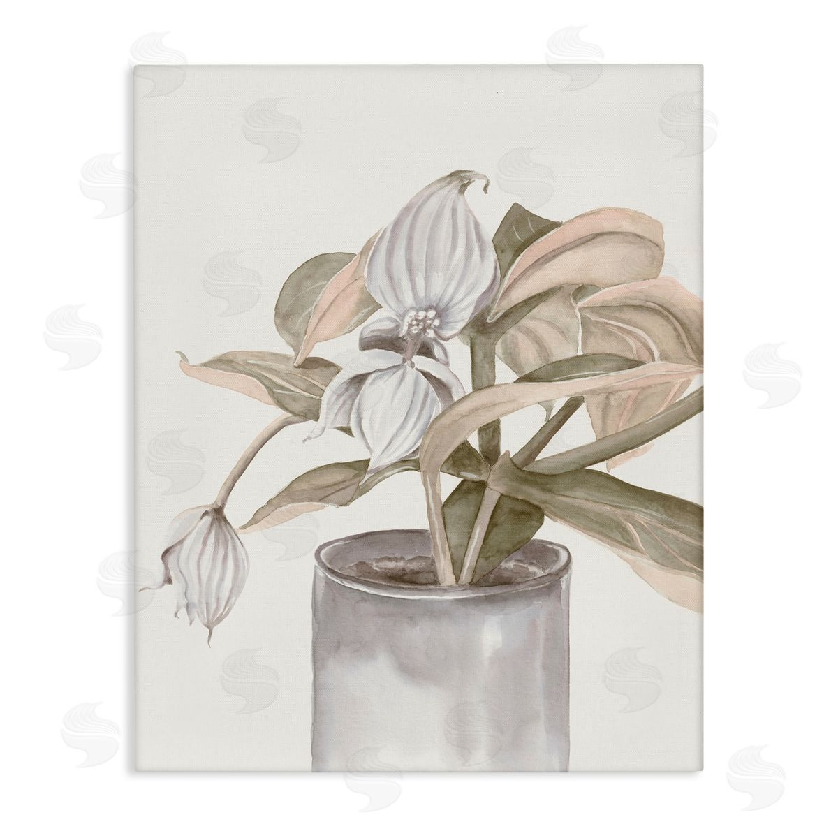 Errico & Slyp Potted Medinilla Magnifica Canvas Wall Art Print