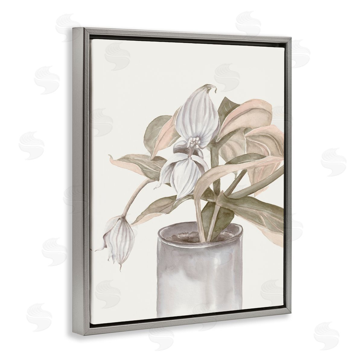 Errico & Slyp Potted Medinilla Magnifica Canvas Wall Art Print