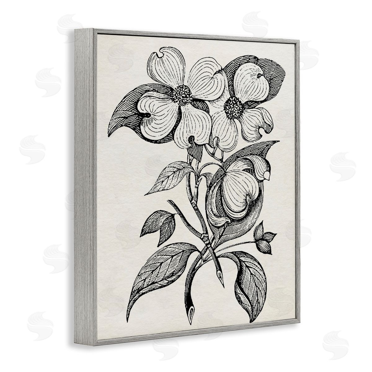 Karen Smith Classic Cut of Dogwood Canvas Wall Art Print