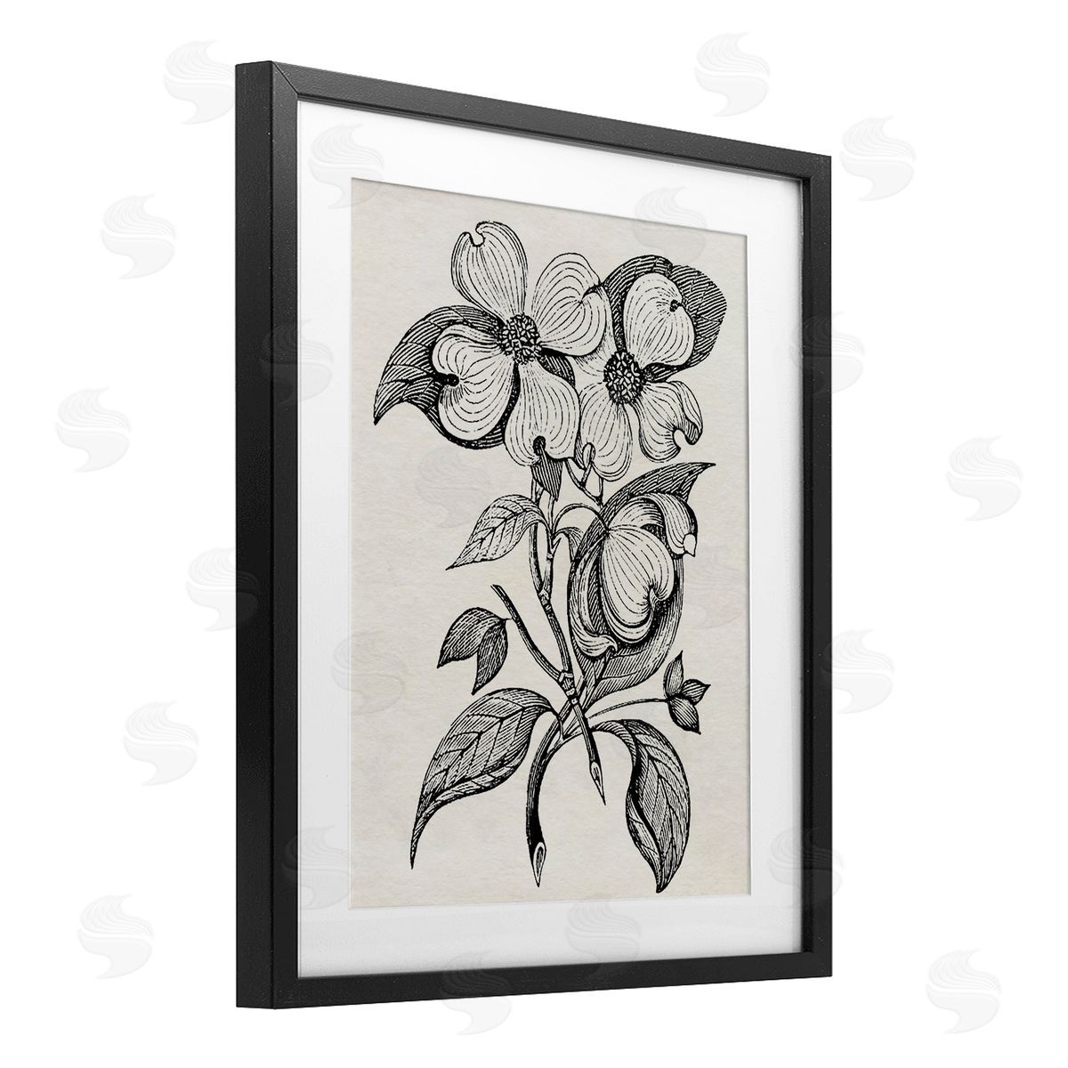 Karen Smith Classic Cut of Dogwood Canvas Wall Art Print