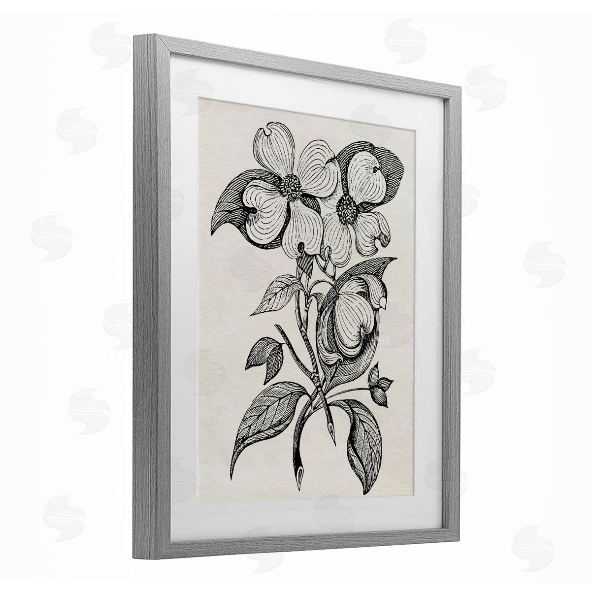 Karen Smith Classic Cut of Dogwood Canvas Wall Art Print