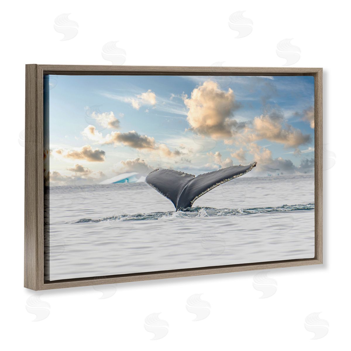Richard Silver Antarctica Whale Tail Canvas Wall Art Print