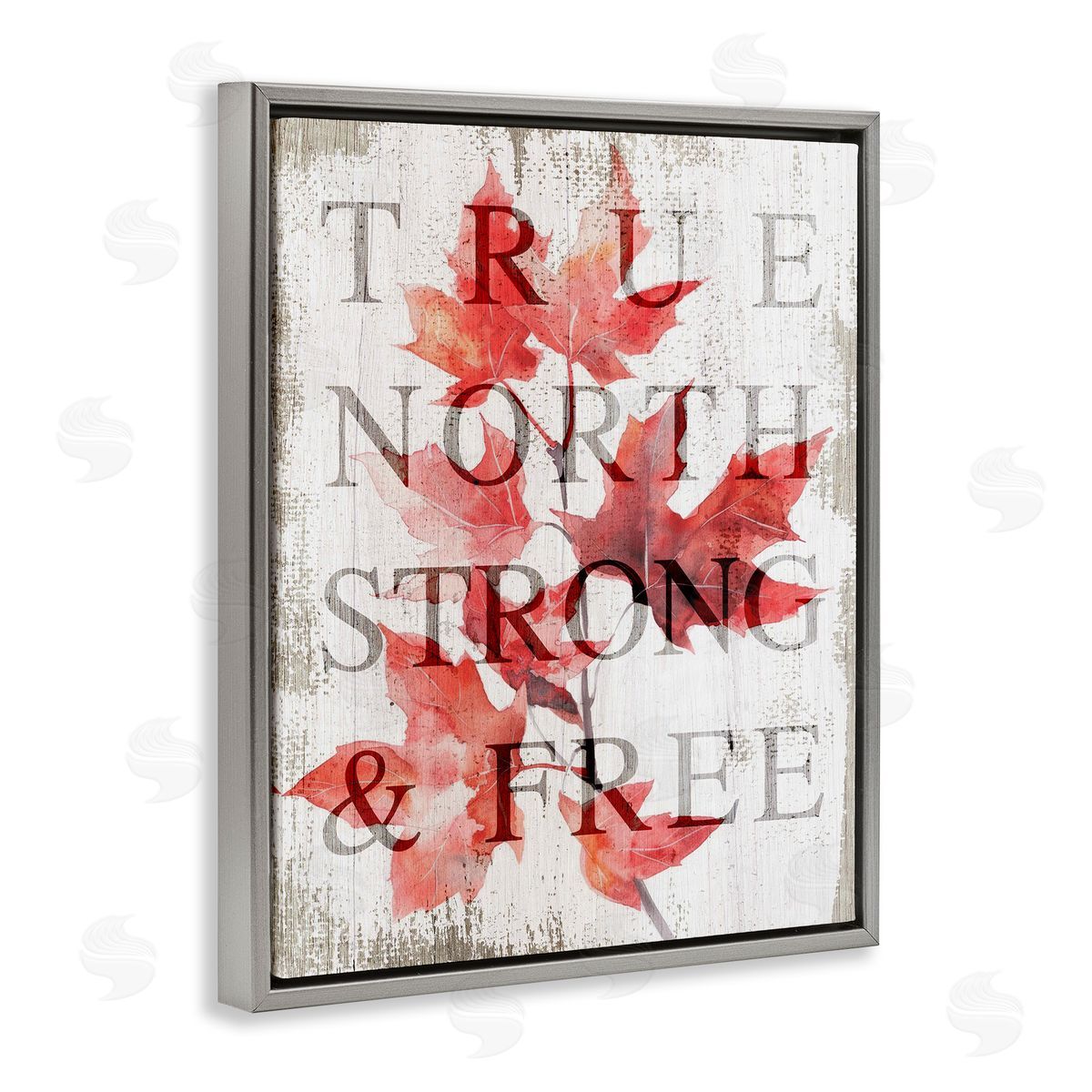 Lil' Rue True North Strong & Free Canvas Wall Art Print