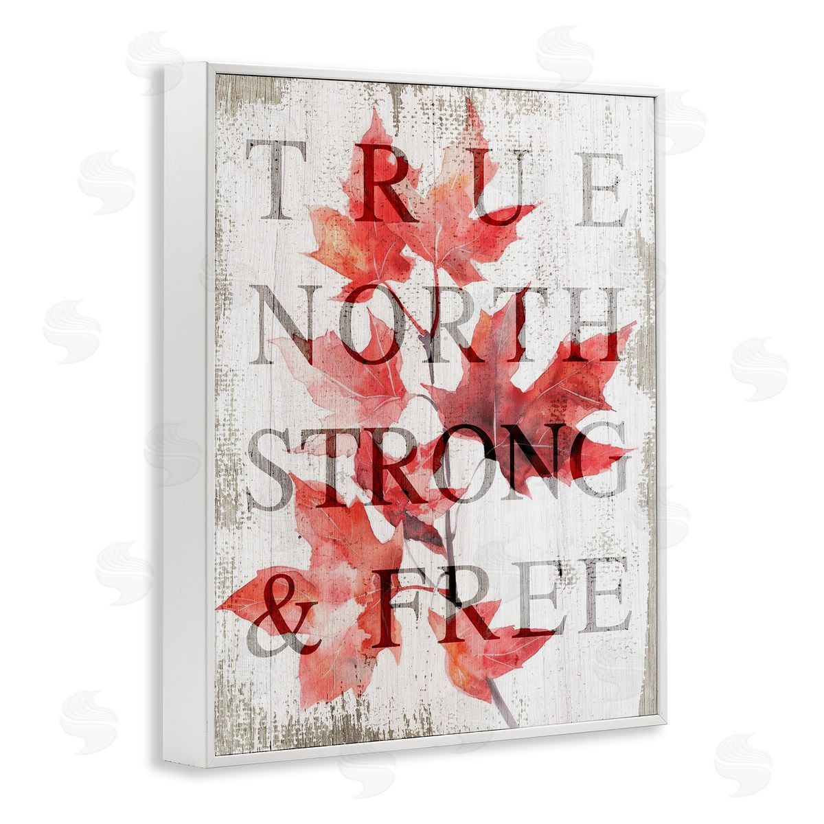 Lil' Rue True North Strong & Free Canvas Wall Art Print