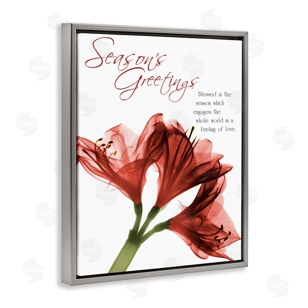 Albert Koetsier Season's Greetings Holiday Amaryllis Canvas Wall Art Print
