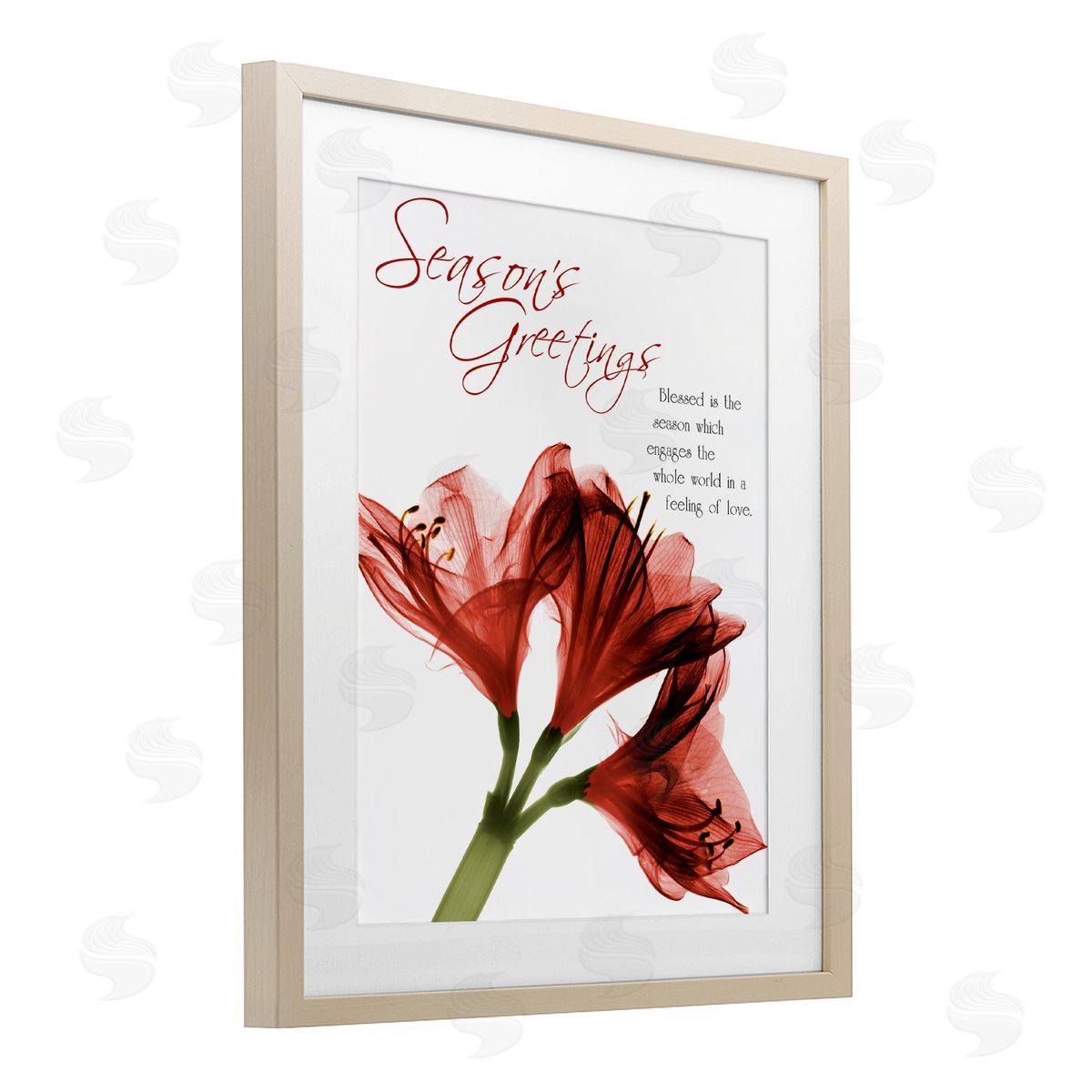 Albert Koetsier Season's Greetings Holiday Amaryllis Canvas Wall Art Print