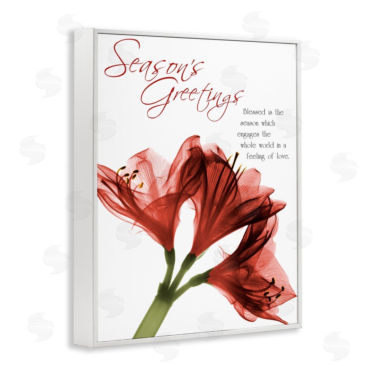 Albert Koetsier Season's Greetings Holiday Amaryllis Canvas Wall Art Print