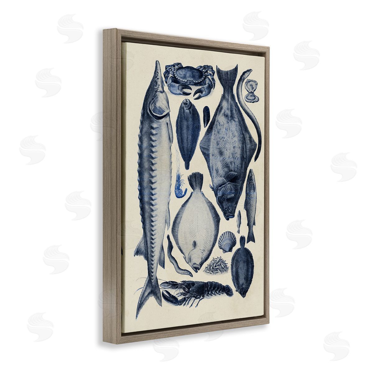 Alicia Longley Scientific Marine Life Chart Canvas Wall Art Print